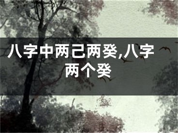 八字中两己两癸,八字两个癸