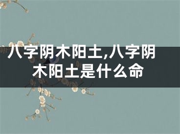 八字阴木阳土,八字阴木阳土是什么命