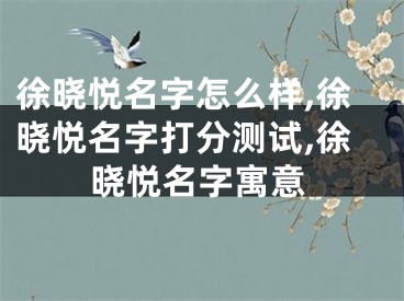 徐晓悦名字怎么样,徐晓悦名字打分测试,徐晓悦名字寓意