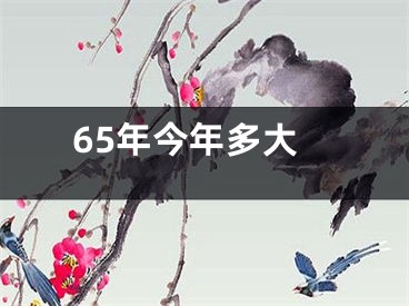 65年今年多大