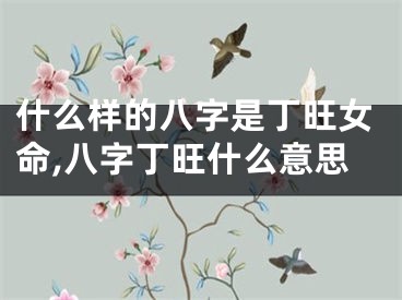 什么样的八字是丁旺女命,八字丁旺什么意思