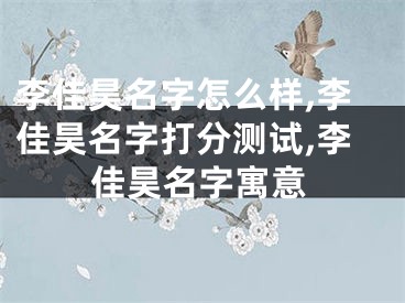 李佳昊名字怎么样,李佳昊名字打分测试,李佳昊名字寓意