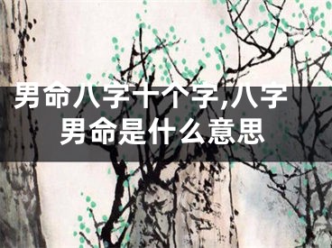 男命八字十个字,八字男命是什么意思
