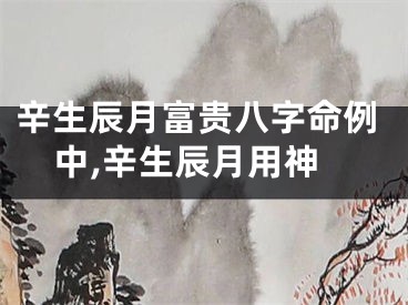 辛生辰月富贵八字命例中,辛生辰月用神