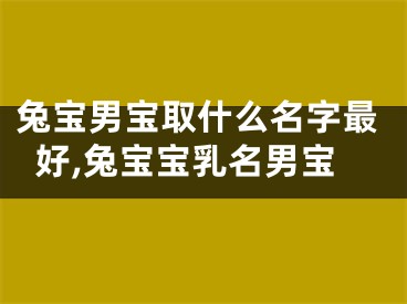 兔宝男宝取什么名字最好,兔宝宝乳名男宝