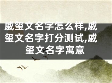 戚玺文名字怎么样,戚玺文名字打分测试,戚玺文名字寓意