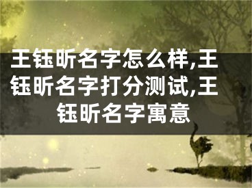 王钰昕名字怎么样,王钰昕名字打分测试,王钰昕名字寓意