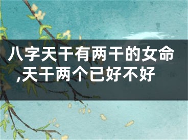 八字天干有两干的女命,天干两个已好不好