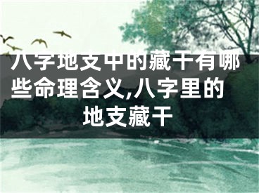 八字地支中的藏干有哪些命理含义,八字里的地支藏干