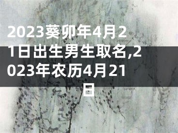 2023葵卯年4月21日出生男生取名,2023年农历4月21日