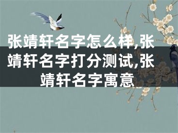 张靖轩名字怎么样,张靖轩名字打分测试,张靖轩名字寓意