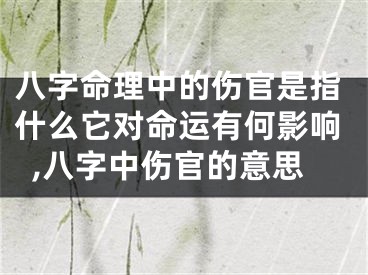 八字命理中的伤官是指什么它对命运有何影响,八字中伤官的意思