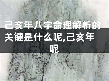 己亥年八字命理解析的关键是什么呢,己亥年呢