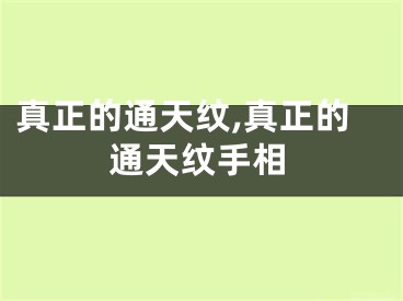 真正的通天纹,真正的通天纹手相