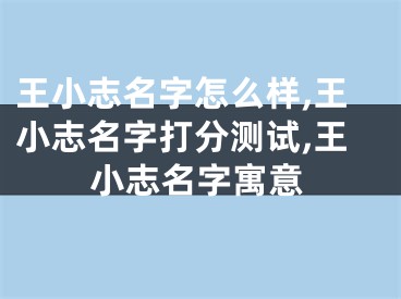 王小志名字怎么样,王小志名字打分测试,王小志名字寓意