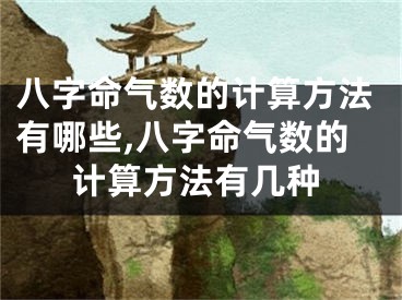 八字命气数的计算方法有哪些,八字命气数的计算方法有几种