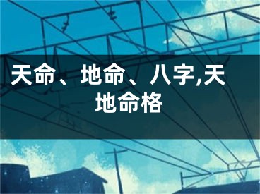 天命、地命、八字,天地命格