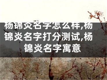 杨锦炎名字怎么样,杨锦炎名字打分测试,杨锦炎名字寓意