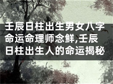 壬辰日柱出生男女八字命运命理师念鲜,壬辰日柱出生人的命运揭秘