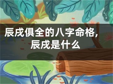 辰戌俱全的八字命格,辰戌是什么