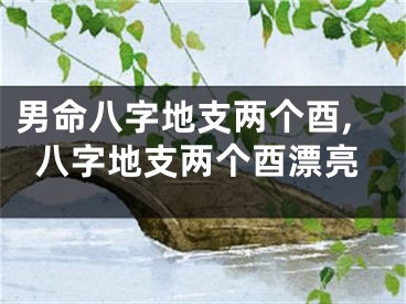 男命八字地支两个酉,八字地支两个酉漂亮