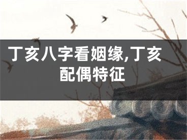 丁亥八字看姻缘,丁亥配偶特征