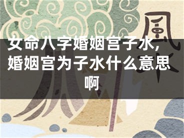 女命八字婚姻宫子水,婚姻宫为子水什么意思啊