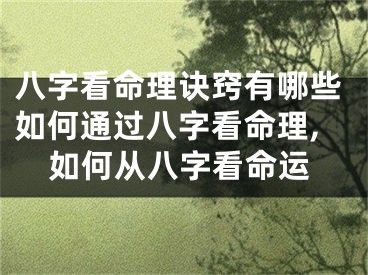 八字看命理诀窍有哪些如何通过八字看命理,如何从八字看命运