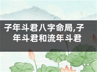 子年斗君八字命局,子年斗君和流年斗君