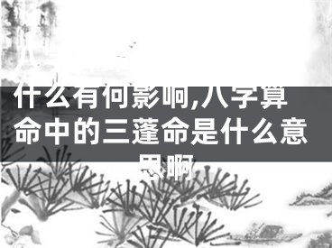 八字算命中的三蓬命是什么有何影响,八字算命中的三蓬命是什么意思啊