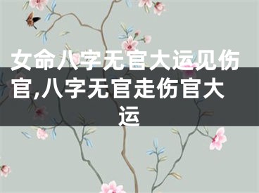 女命八字无官大运见伤官,八字无官走伤官大运