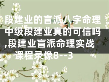 段建业的盲派八字命理中级段建业真的可信吗,段建业盲派命理实战课程录像8--3