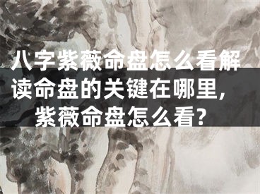 八字紫薇命盘怎么看解读命盘的关键在哪里,紫薇命盘怎么看?