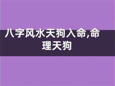 八字风水天狗入命,命理天狗