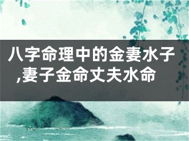 八字命理中的金妻水子,妻子金命丈夫水命