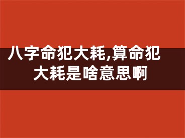 八字命犯大耗,算命犯大耗是啥意思啊