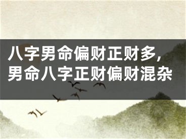 八字男命偏财正财多,男命八字正财偏财混杂