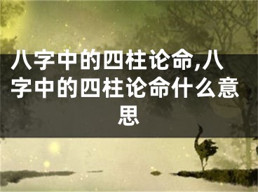 八字中的四柱论命,八字中的四柱论命什么意思
