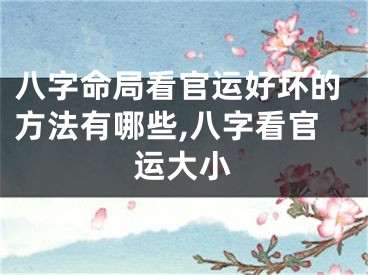 八字命局看官运好坏的方法有哪些,八字看官运大小