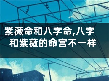 紫薇命和八字命,八字和紫薇的命宫不一样