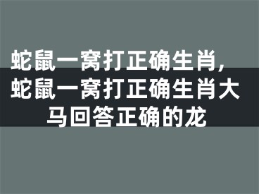 蛇鼠一窝打正确生肖,蛇鼠一窝打正确生肖大马回答正确的龙