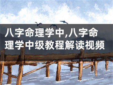 八字命理学中,八字命理学中级教程解读视频