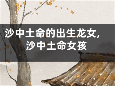 沙中土命的出生龙女,沙中土命女孩