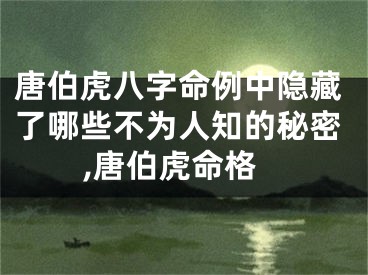 唐伯虎八字命例中隐藏了哪些不为人知的秘密,唐伯虎命格