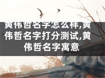 黄伟哲名字怎么样,黄伟哲名字打分测试,黄伟哲名字寓意