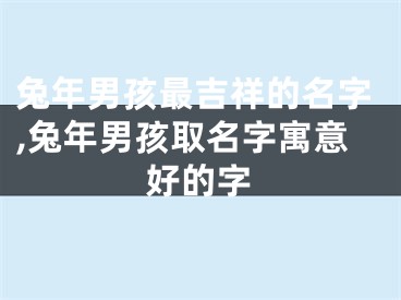 兔年男孩最吉祥的名字,兔年男孩取名字寓意好的字