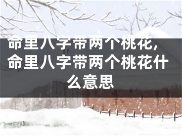 命里八字带两个桃花,命里八字带两个桃花什么意思