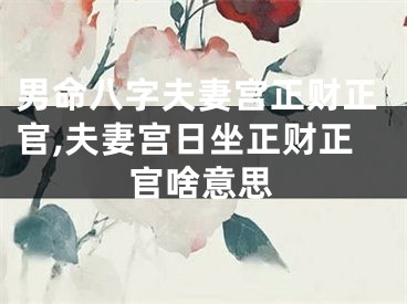 男命八字夫妻宫正财正官,夫妻宫日坐正财正官啥意思