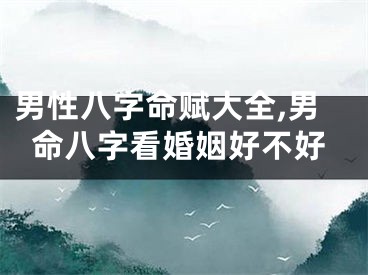 男性八字命赋大全,男命八字看婚姻好不好