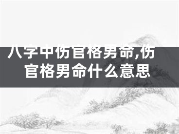 八字中伤官格男命,伤官格男命什么意思